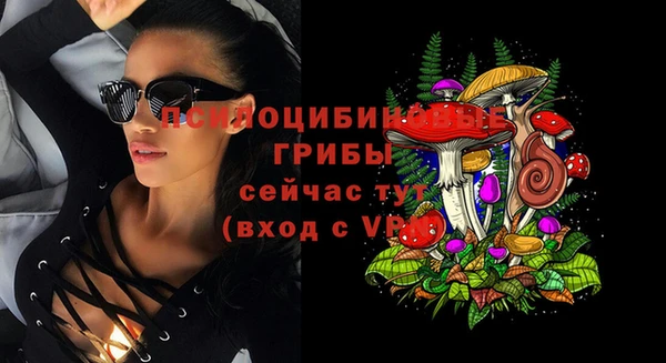 гидропоника Арсеньев