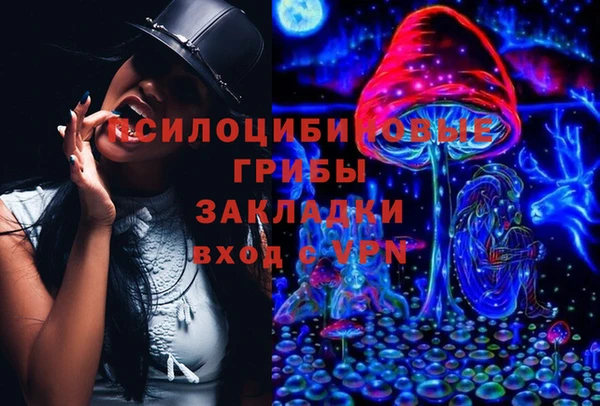 2c-b Аркадак
