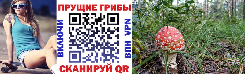 KRAKEN tor  купить наркотик  Белая Калитва  Псилоцибиновые грибы Magic Shrooms 